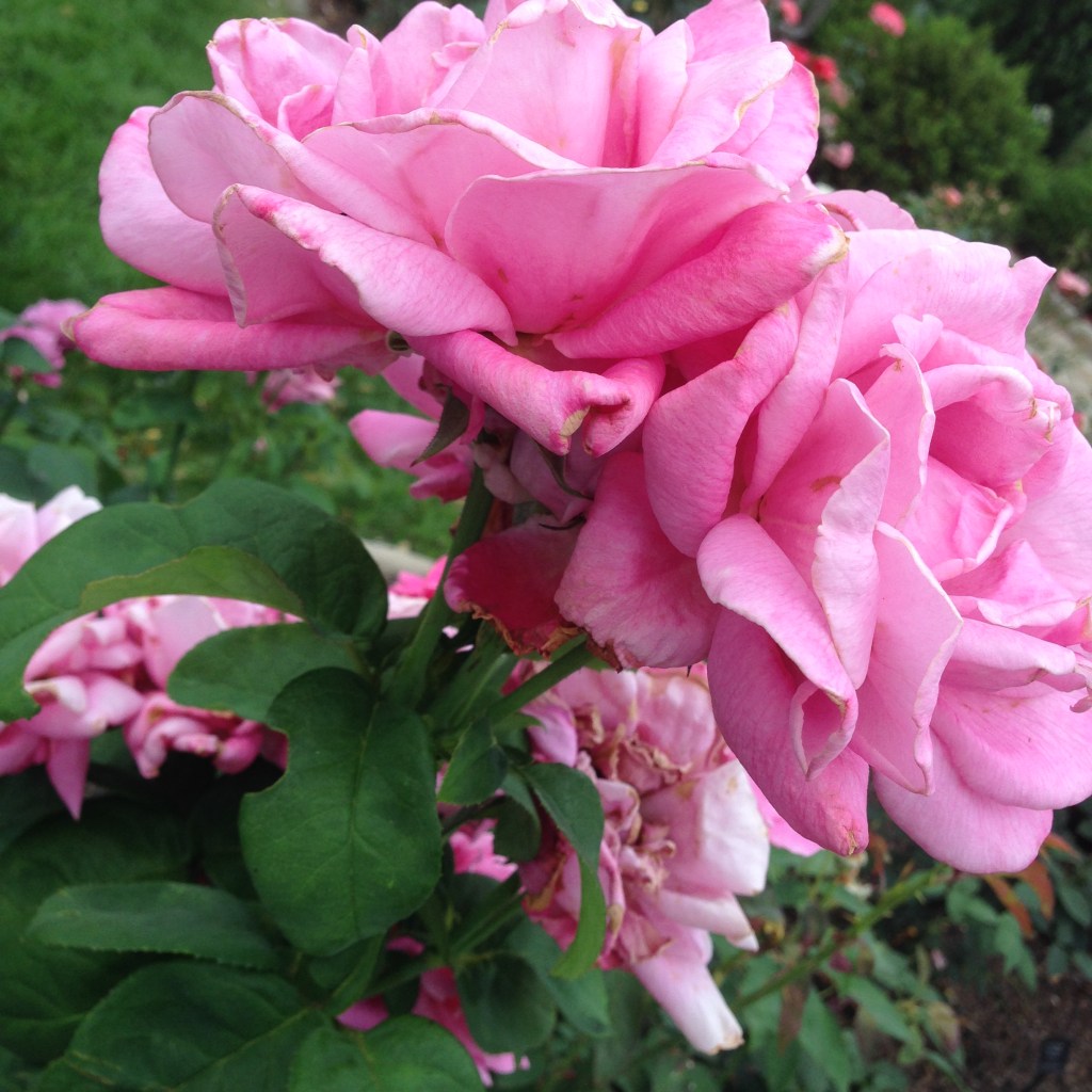 Speaking Our Truth&nbsp;Quietly